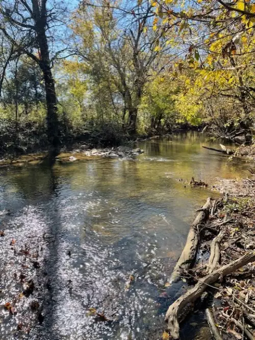 Old Nashville Dirt Rd, Shelbyville, TN  37160