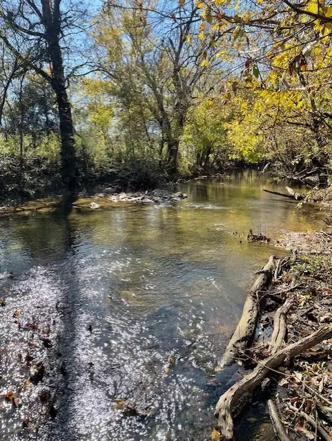 Old Nashville Dirt Rd, Shelbyville, TN  37160