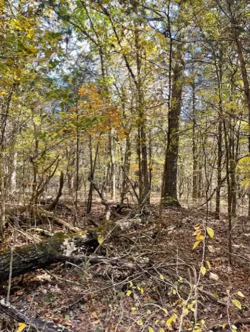 Old Nashville Dirt Rd, Shelbyville, TN  37160