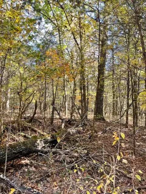 Old Nashville Dirt Rd, Shelbyville, TN  37160