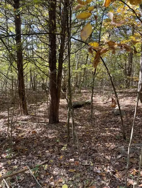 Old Nashville Dirt Rd, Shelbyville, TN  37160