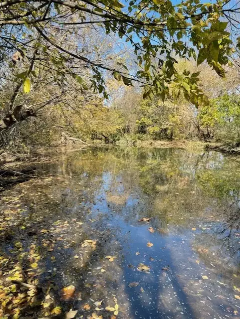 Old Nashville Dirt Rd, Shelbyville, TN  37160