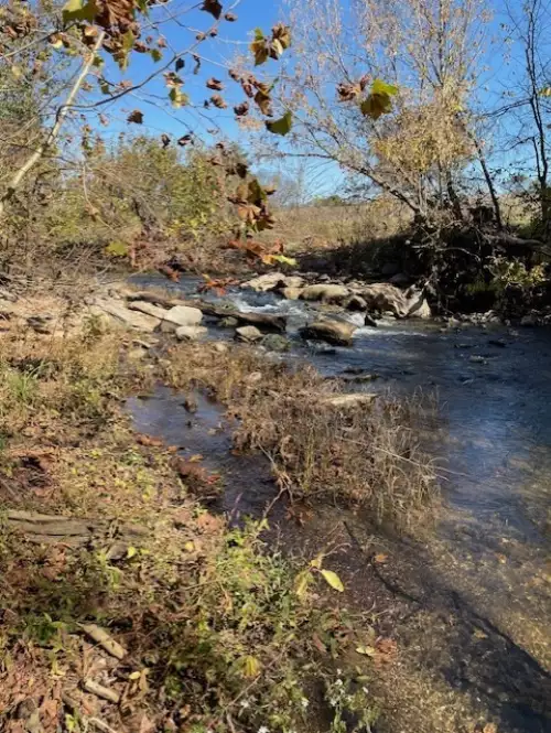 Old Nashville Dirt Rd, Shelbyville, TN  37160