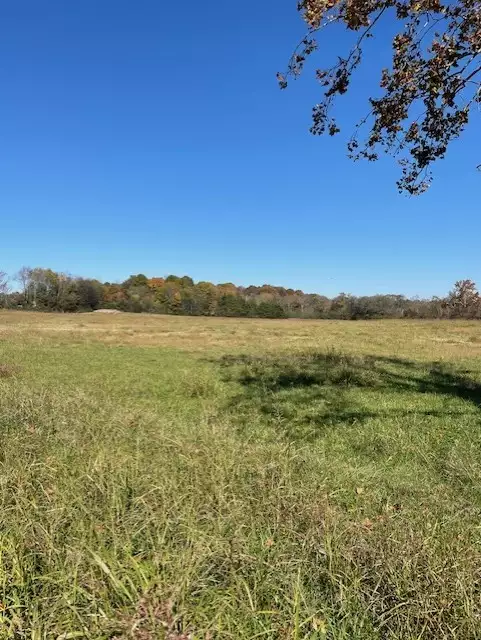 Old Nashville Dirt Rd, Shelbyville, TN  37160