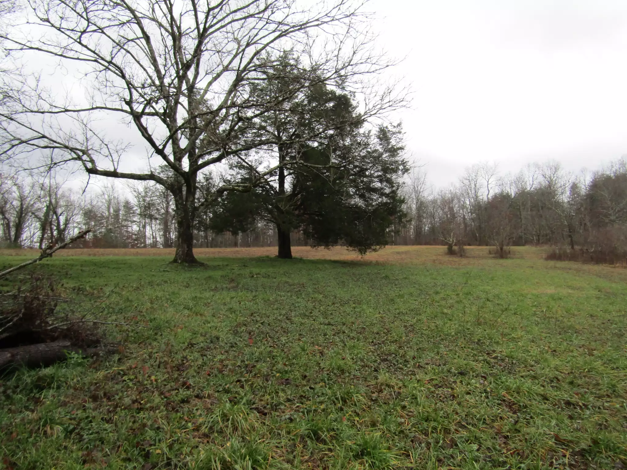 171 Sheep Ranch Rd, Altamont, TN  37301