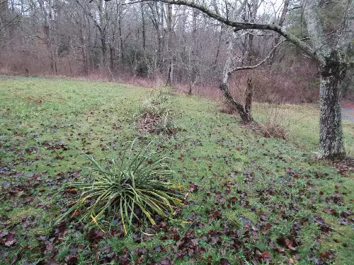 171 Sheep Ranch Rd, Altamont, TN  37301