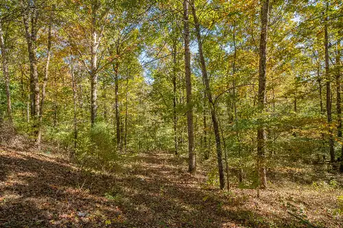 8240 Charlie Brown Rd, Centerville, TN  37033