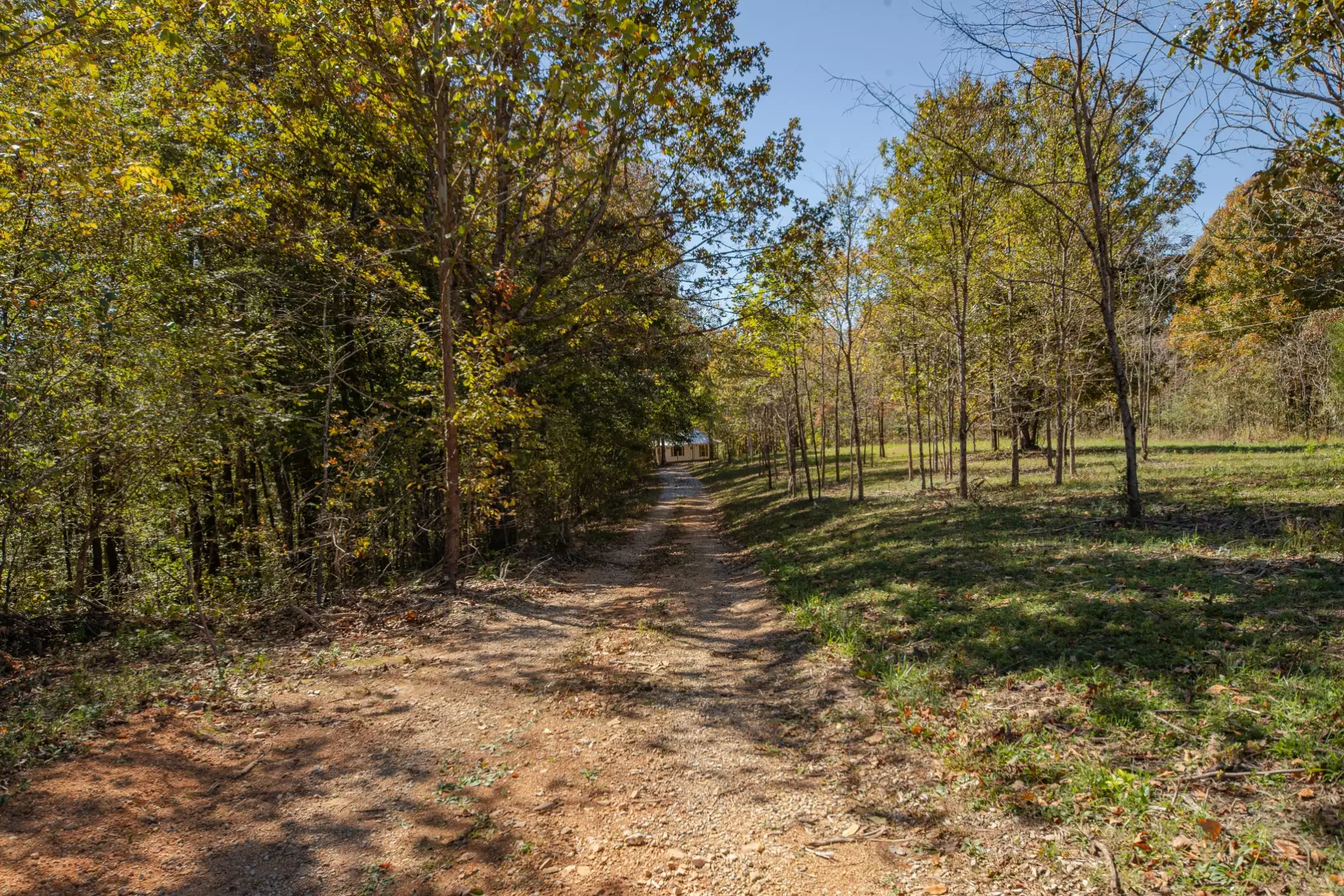 8240 Charlie Brown Rd, Centerville, TN  37033