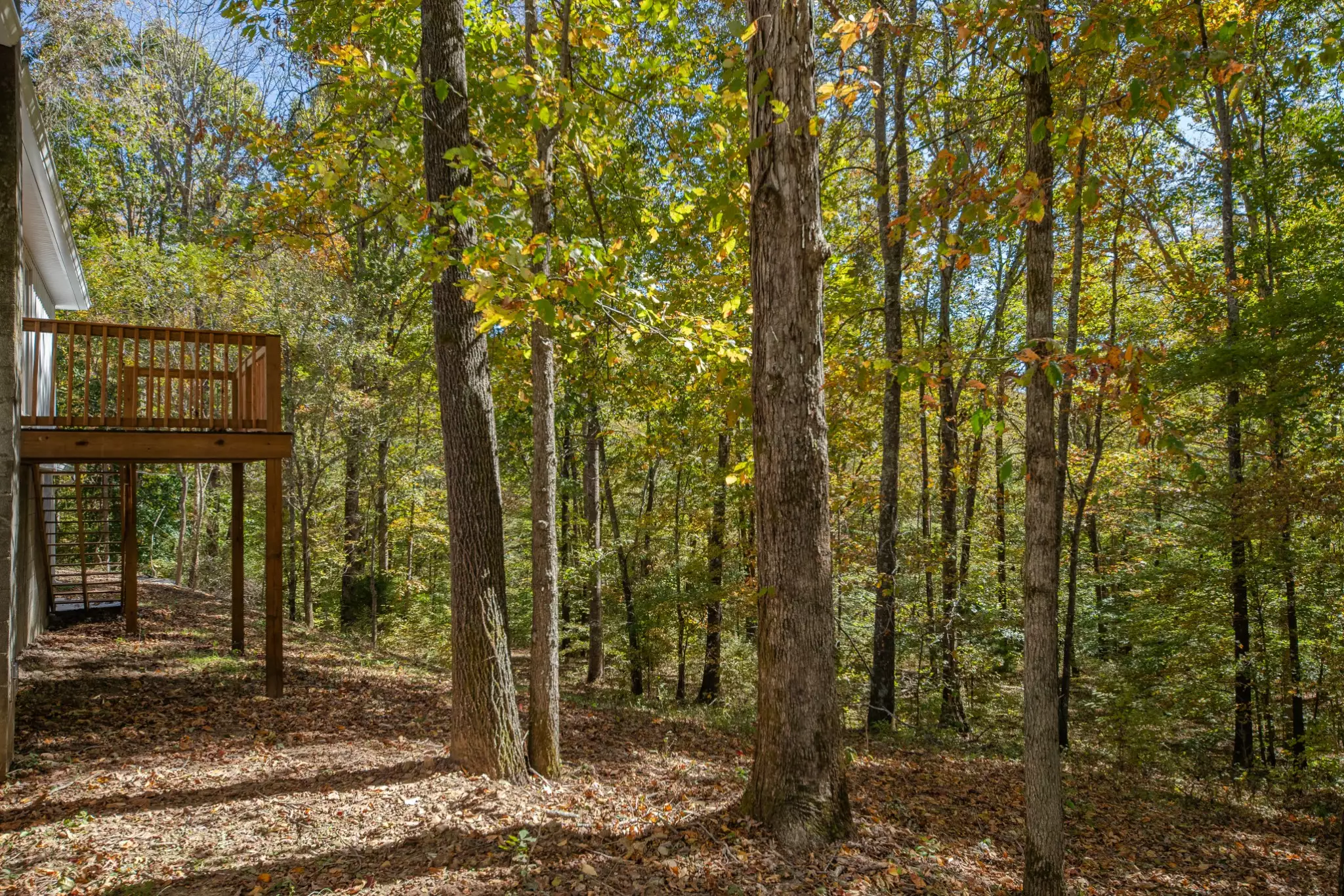 8240 Charlie Brown Rd, Centerville, TN  37033