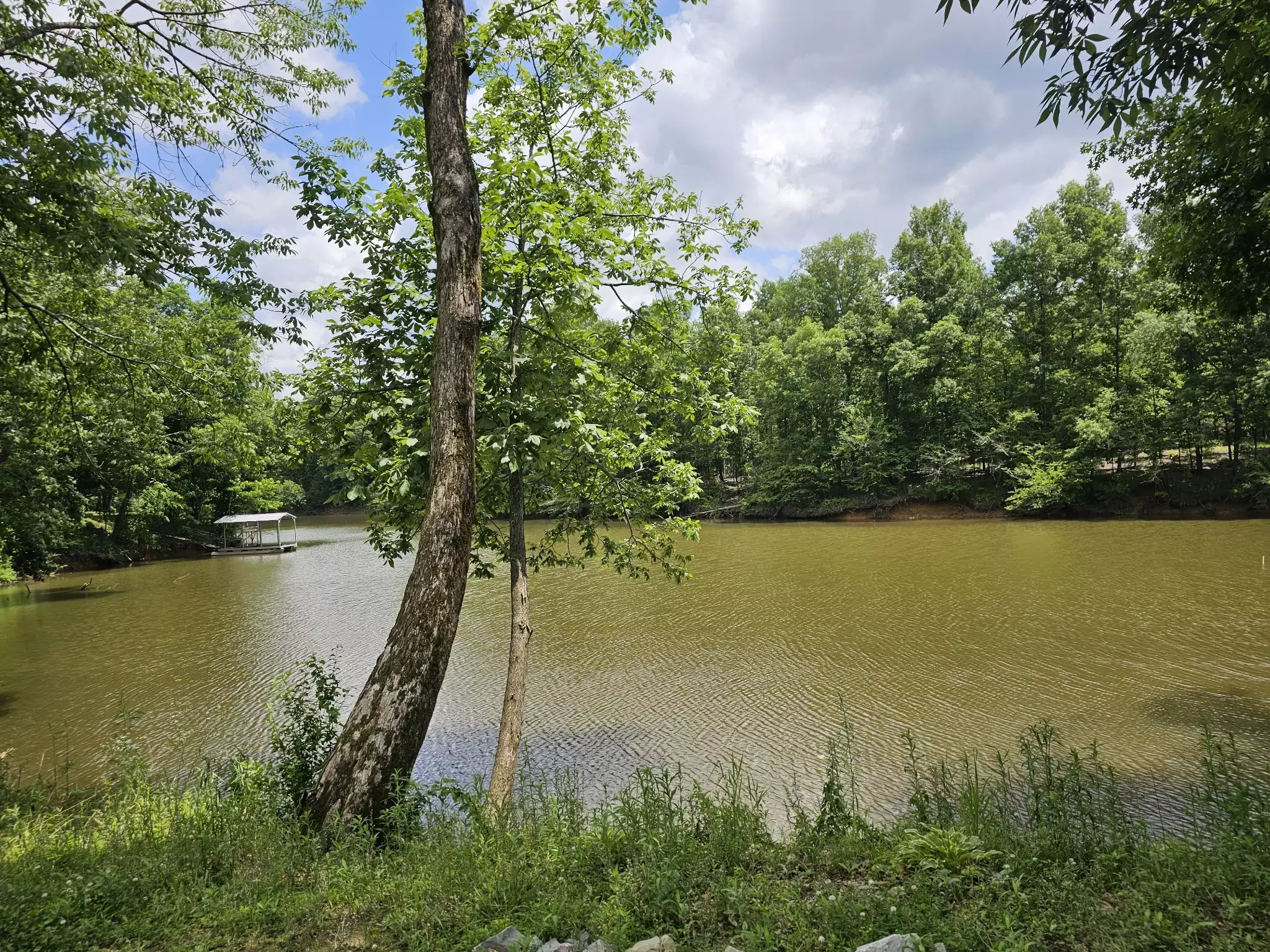 368 Duck Blind Rd, Clifton, TN  38425