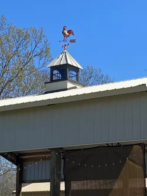 368 Duck Blind Rd, Clifton, TN  38425