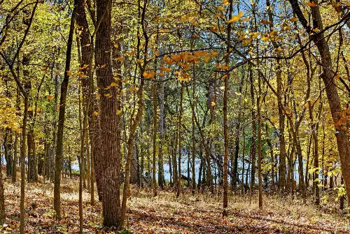 S Wrights Lane, Gallatin, TN  37066