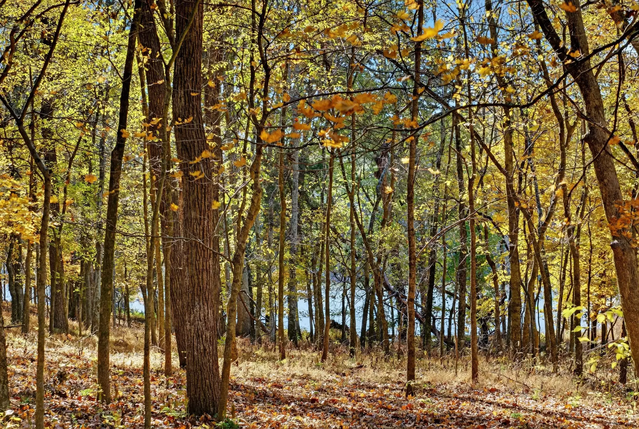 S Wrights Lane, Gallatin, TN  37066