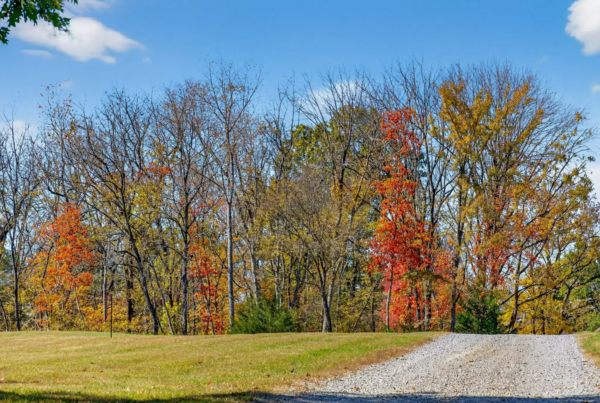 S Wrights Lane, Gallatin, TN  37066