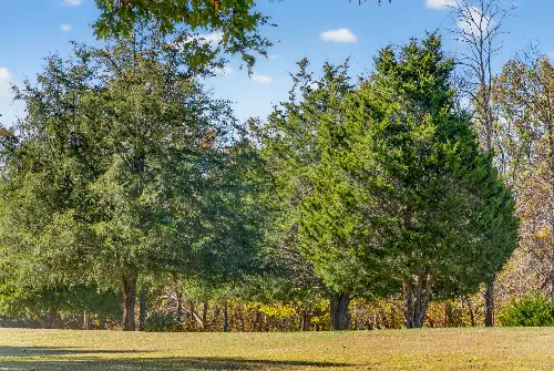 S Wrights Lane, Gallatin, TN  37066