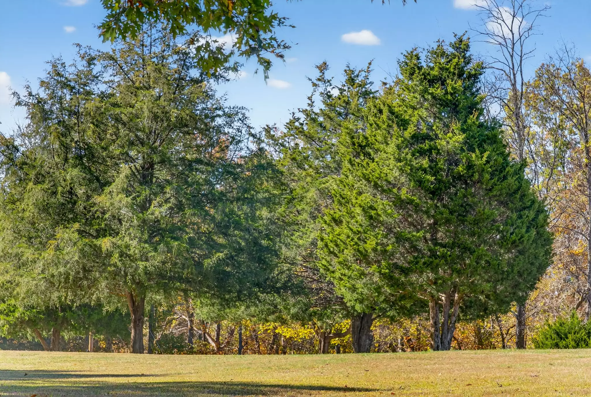 S Wrights Lane, Gallatin, TN  37066