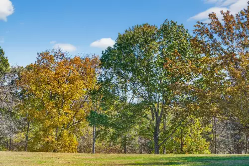 S Wrights Lane, Gallatin, TN  37066