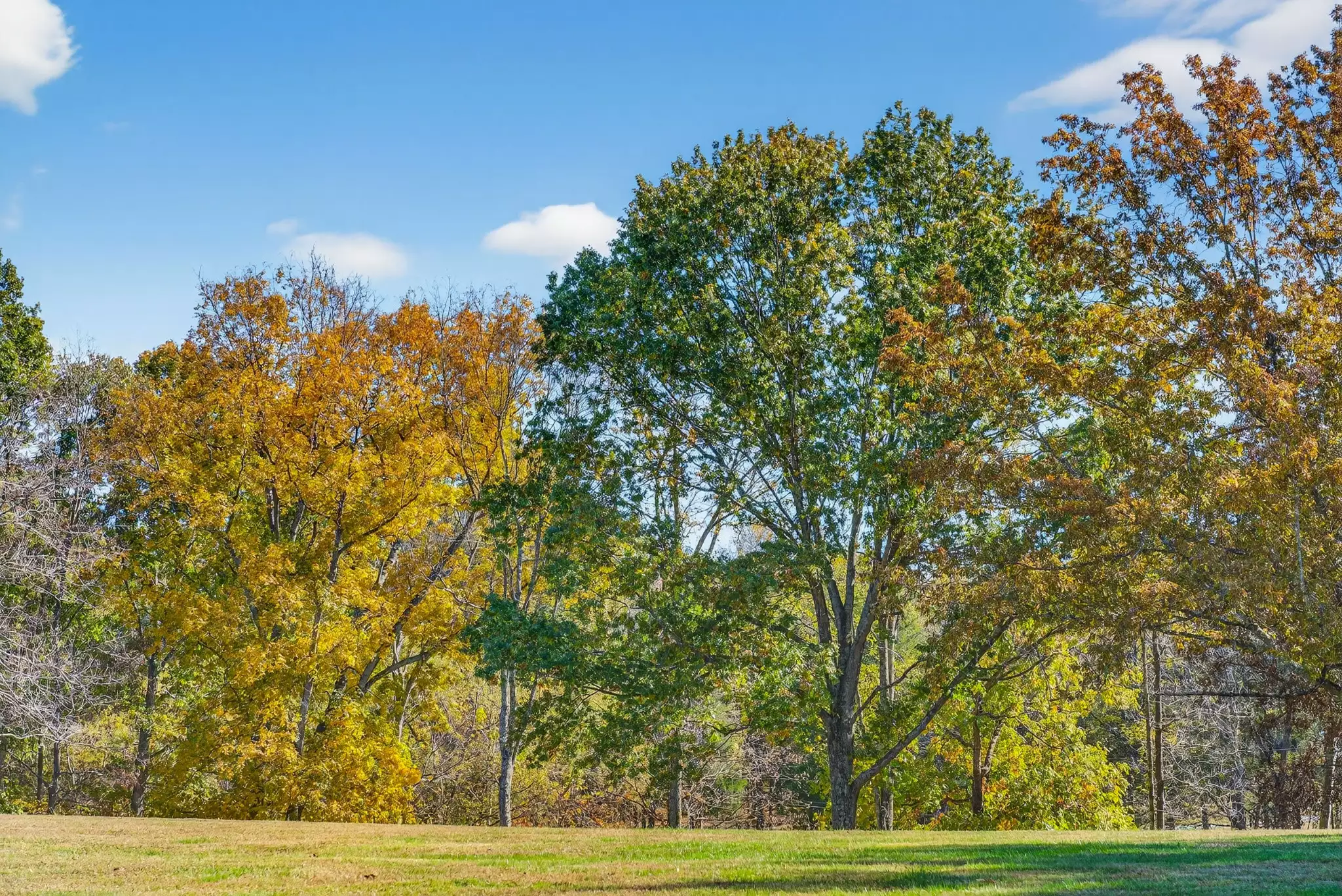 S Wrights Lane, Gallatin, TN  37066