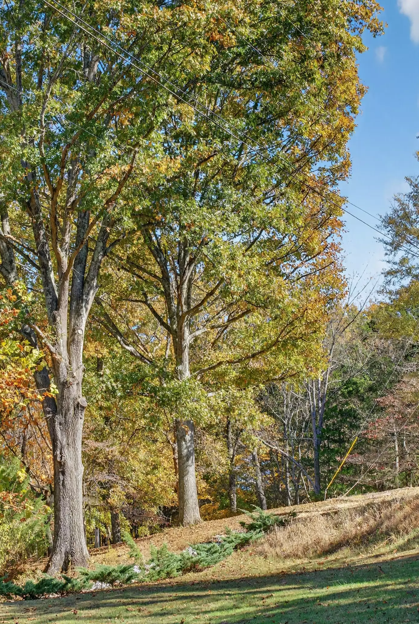 S Wrights Lane, Gallatin, TN  37066