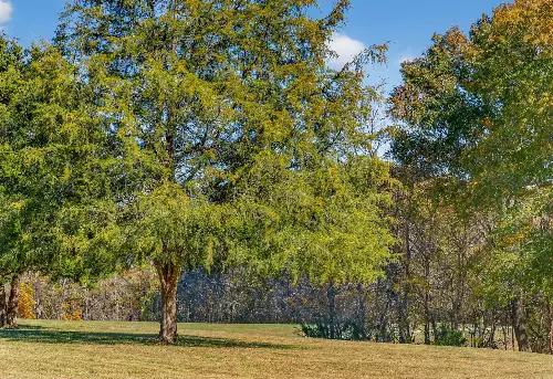 S Wrights Lane, Gallatin, TN  37066