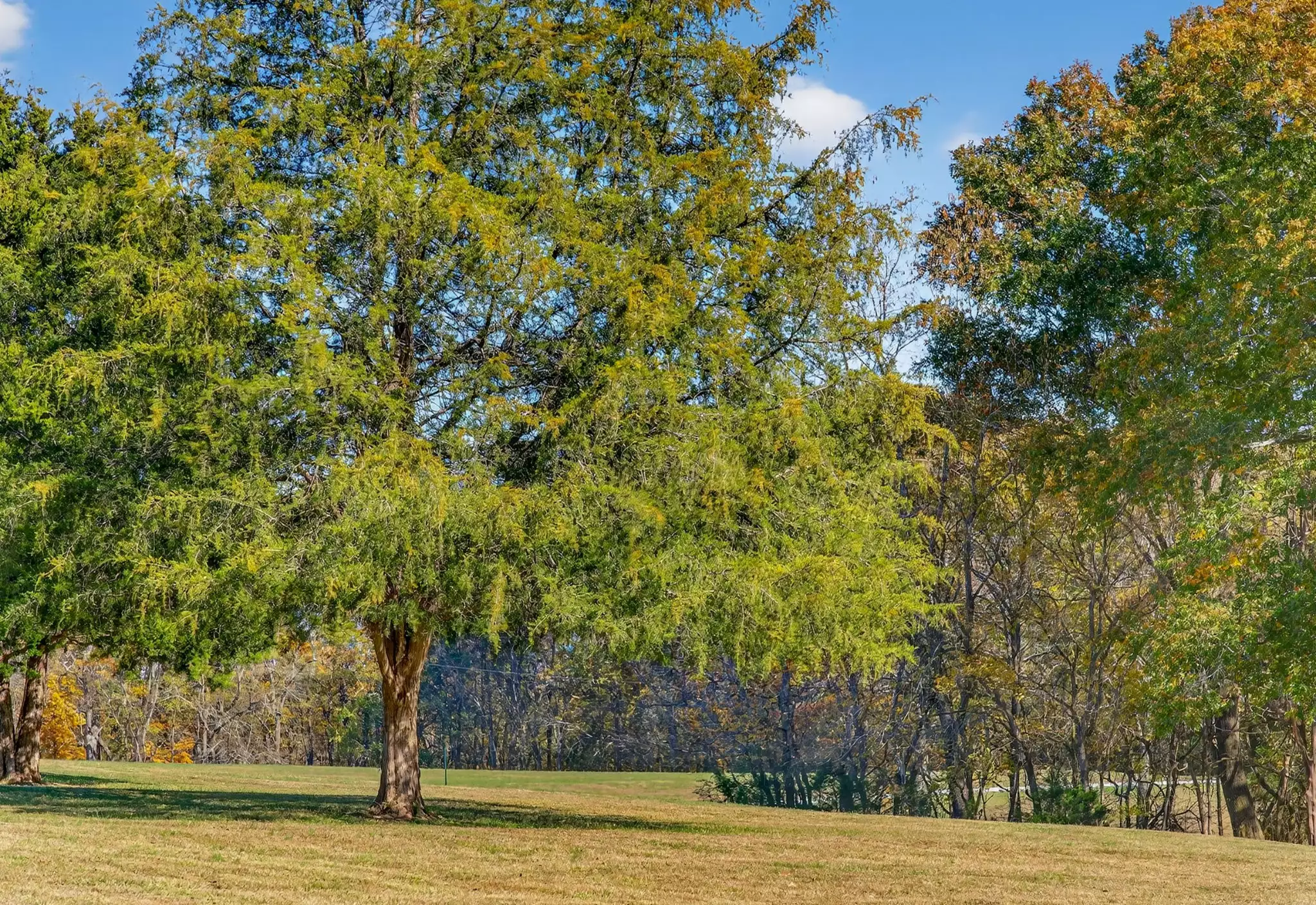 S Wrights Lane, Gallatin, TN  37066