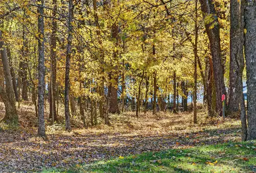 S Wrights Lane, Gallatin, TN  37066