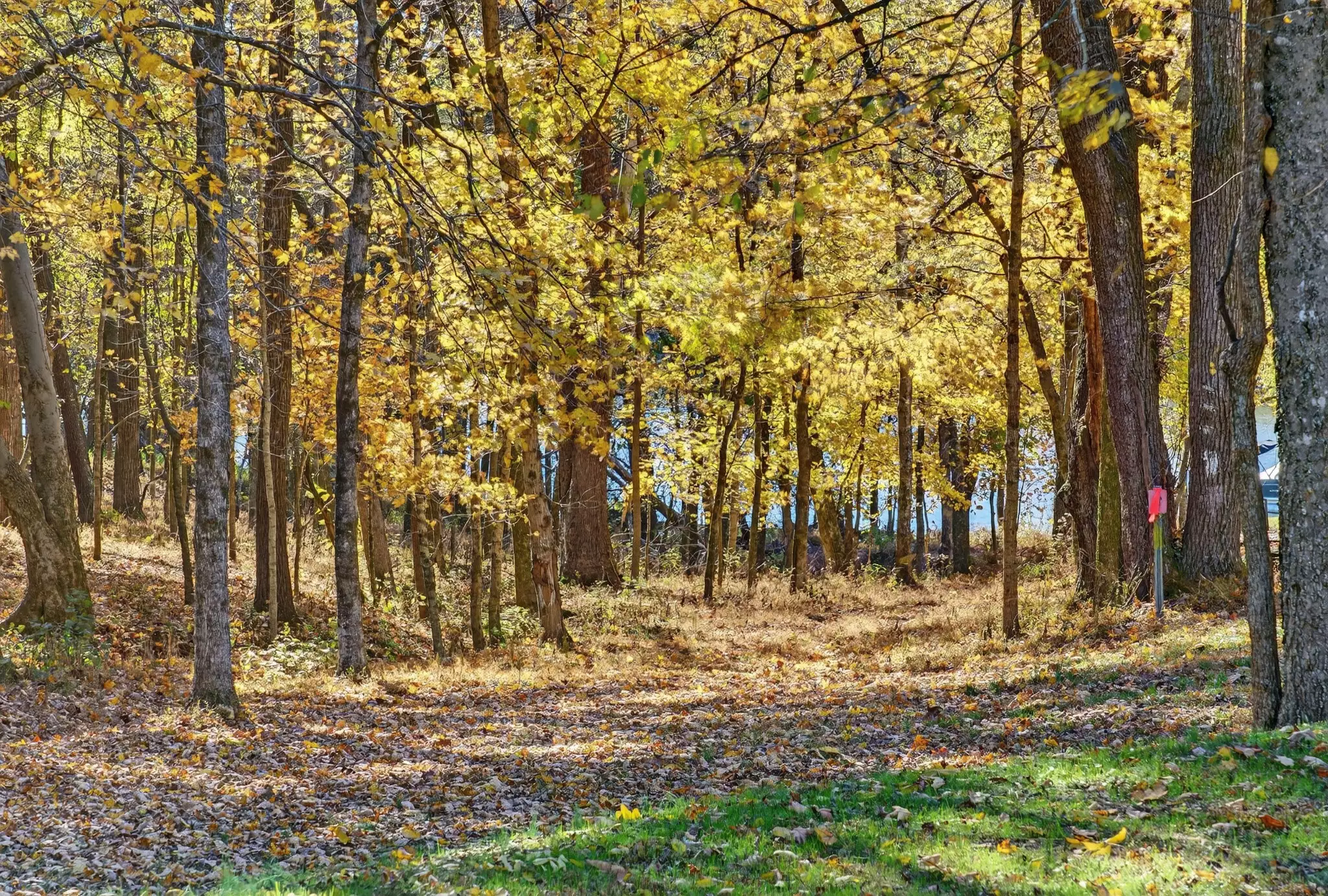 S Wrights Lane, Gallatin, TN  37066