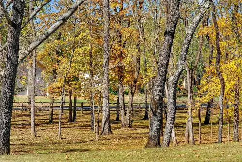 S Wrights Lane, Gallatin, TN  37066