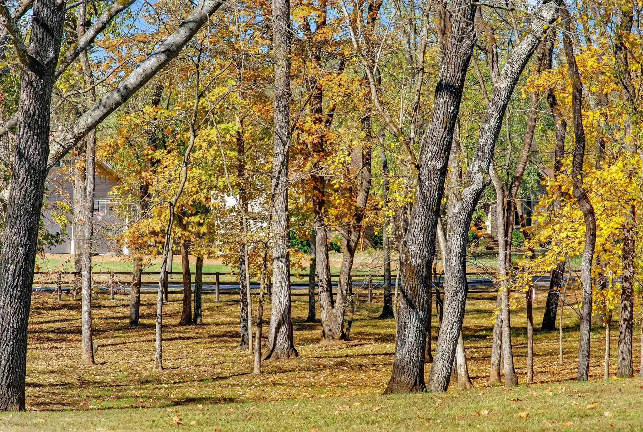 S Wrights Lane, Gallatin, TN  37066