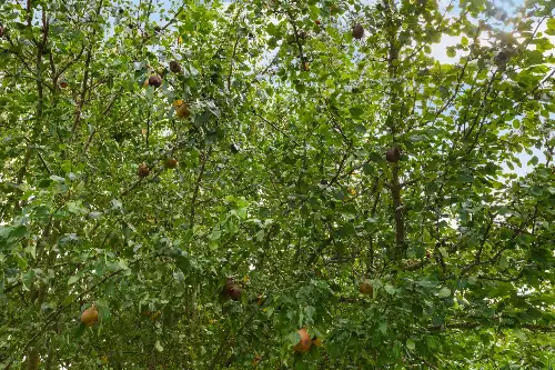 294 McDale Rd, Shelbyville, TN  37160