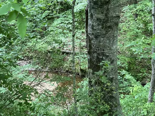 Clay Lick Rd, Whites Creek, TN  37189