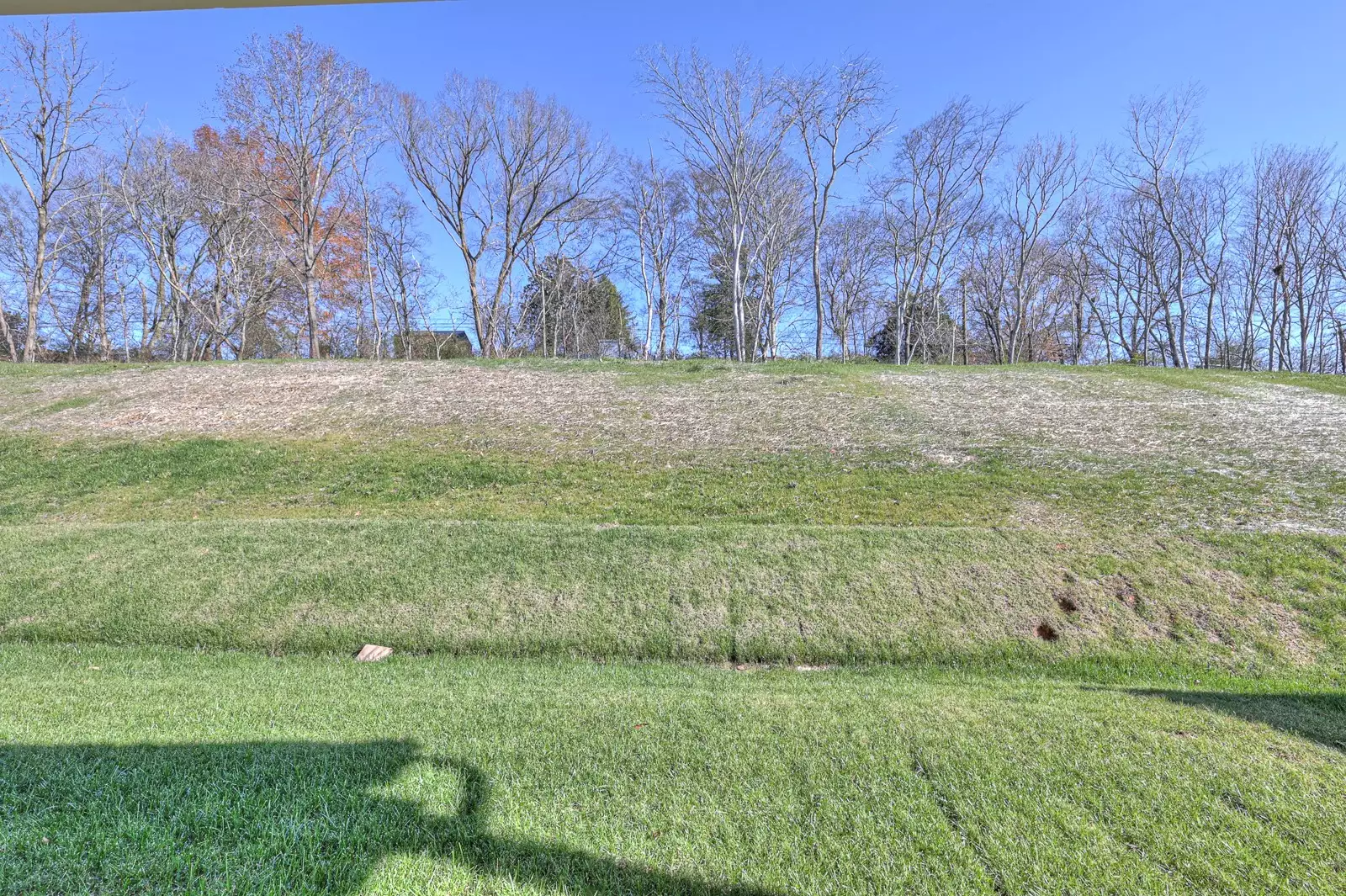 1291 Bluffton Cir, Clarksville, TN  37043