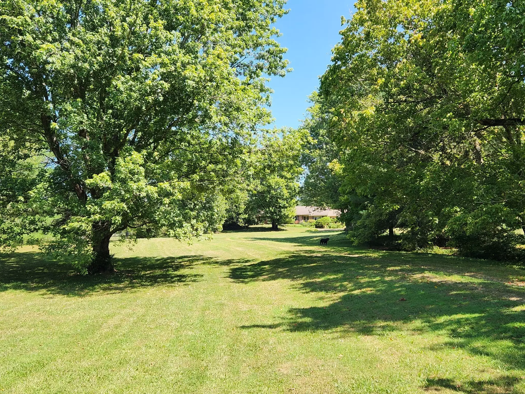 264 Puncheon Camp Rd, Bell Buckle, TN  37020