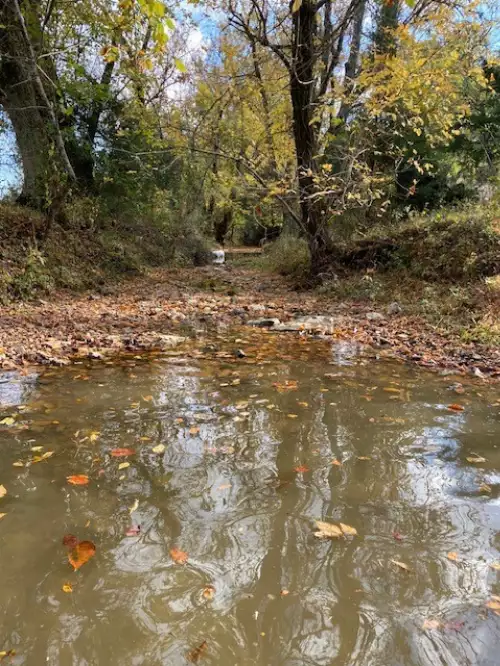 264 Puncheon Camp Rd, Bell Buckle, TN  37020