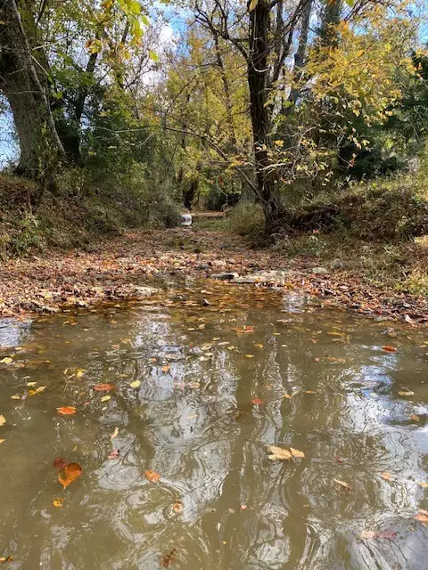 264 Puncheon Camp Rd, Bell Buckle, TN  37020