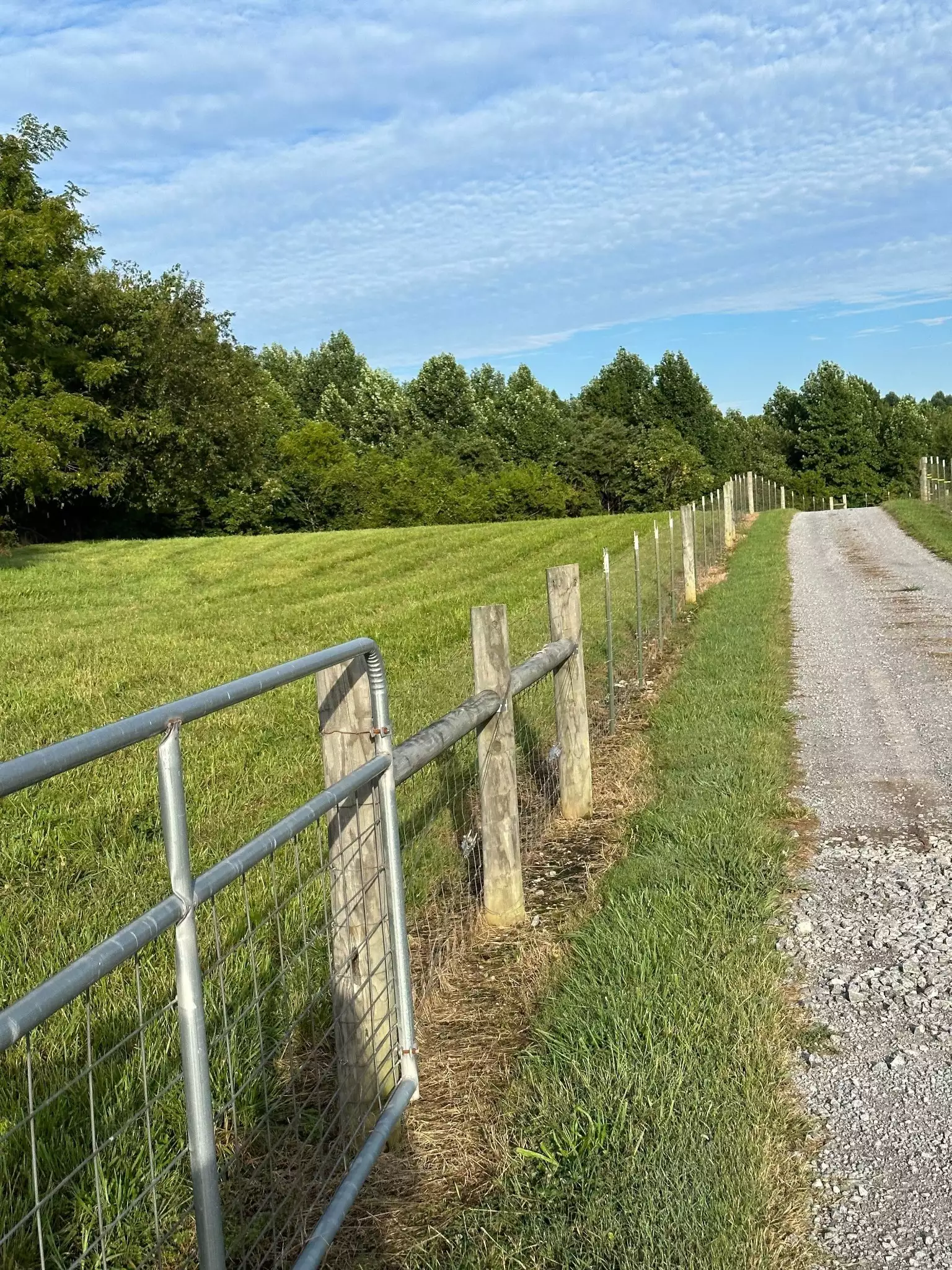 Knob Creek Rd, Wartrace, TN  37183