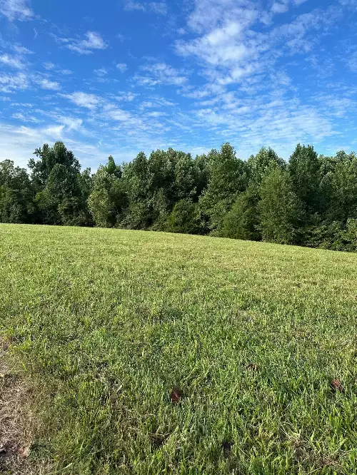 Knob Creek Rd, Wartrace, TN  37183