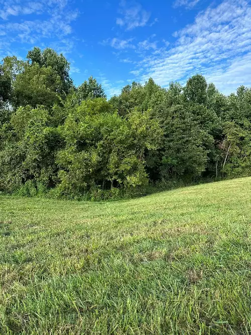 Knob Creek Rd, Wartrace, TN  37183