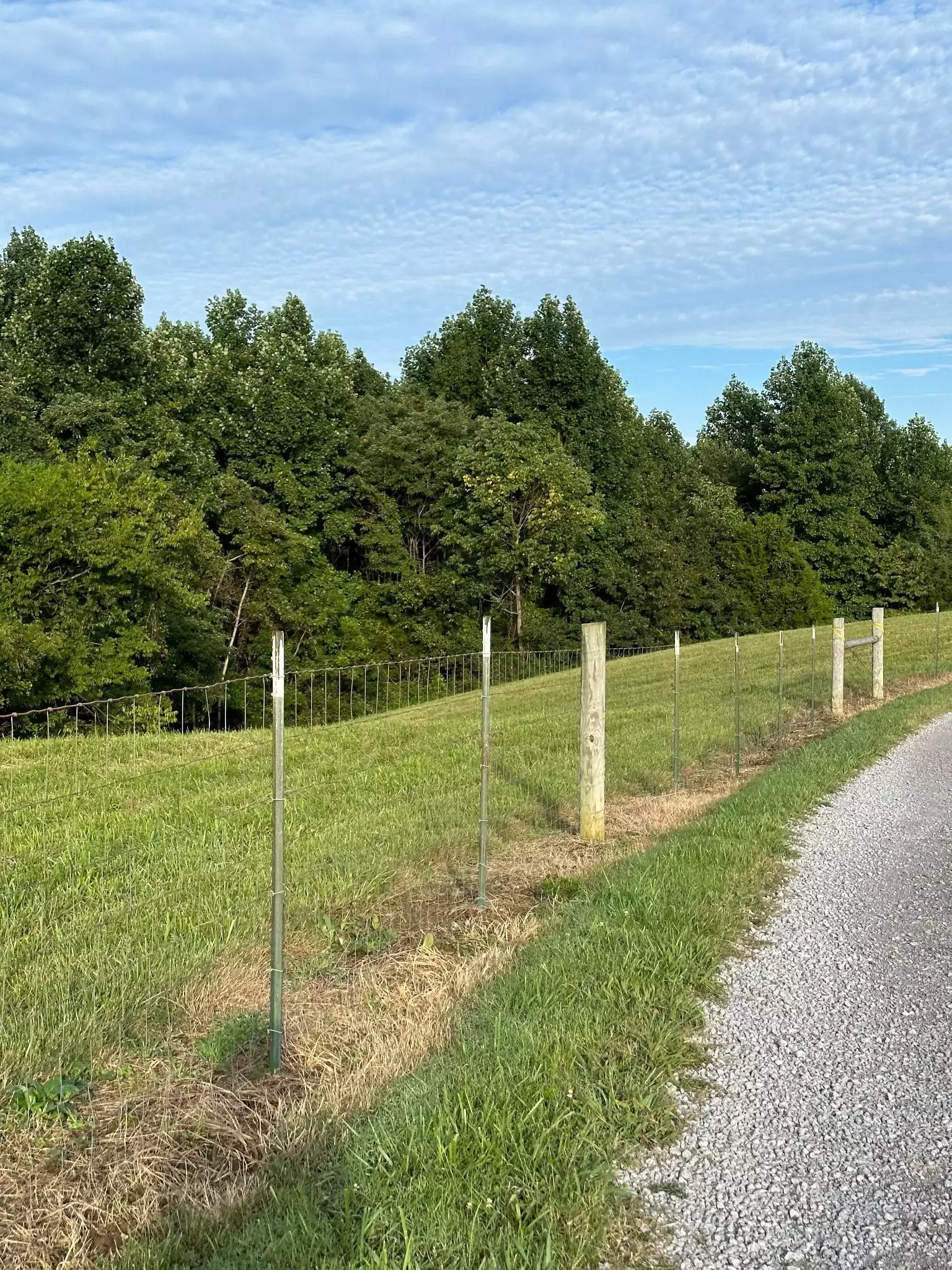 Knob Creek Rd, Wartrace, TN  37183