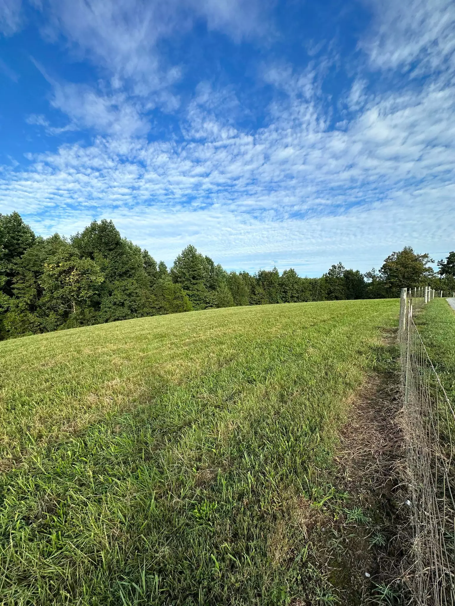 Knob Creek Rd, Wartrace, TN  37183