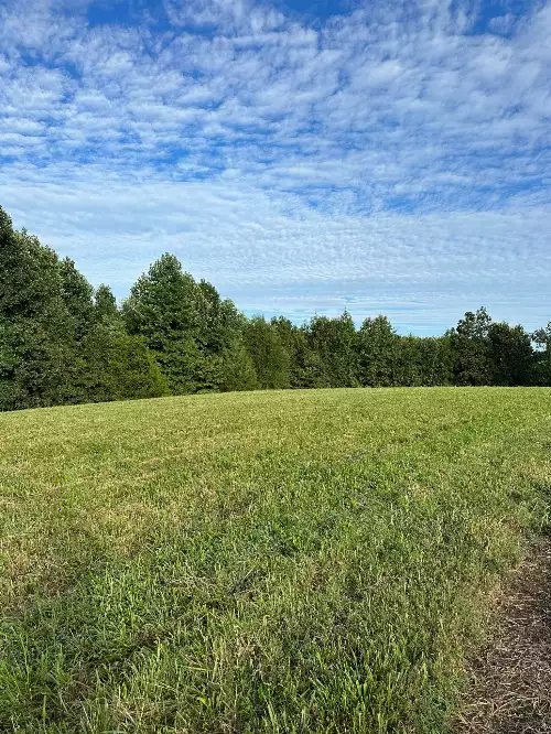 Knob Creek Rd, Wartrace, TN  37183