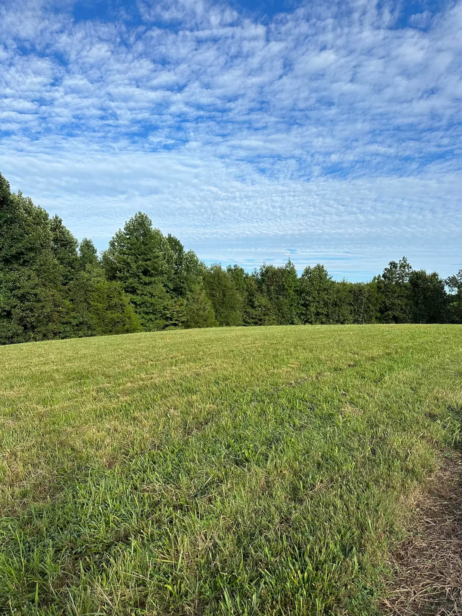 Knob Creek Rd, Wartrace, TN  37183