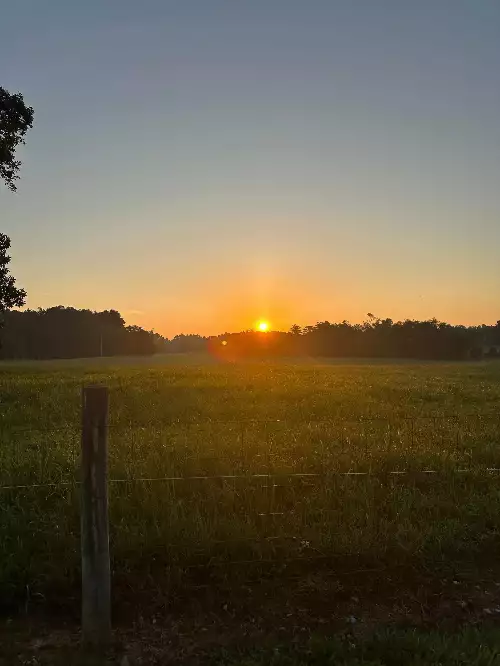 Knob Creek Rd, Wartrace, TN  37183