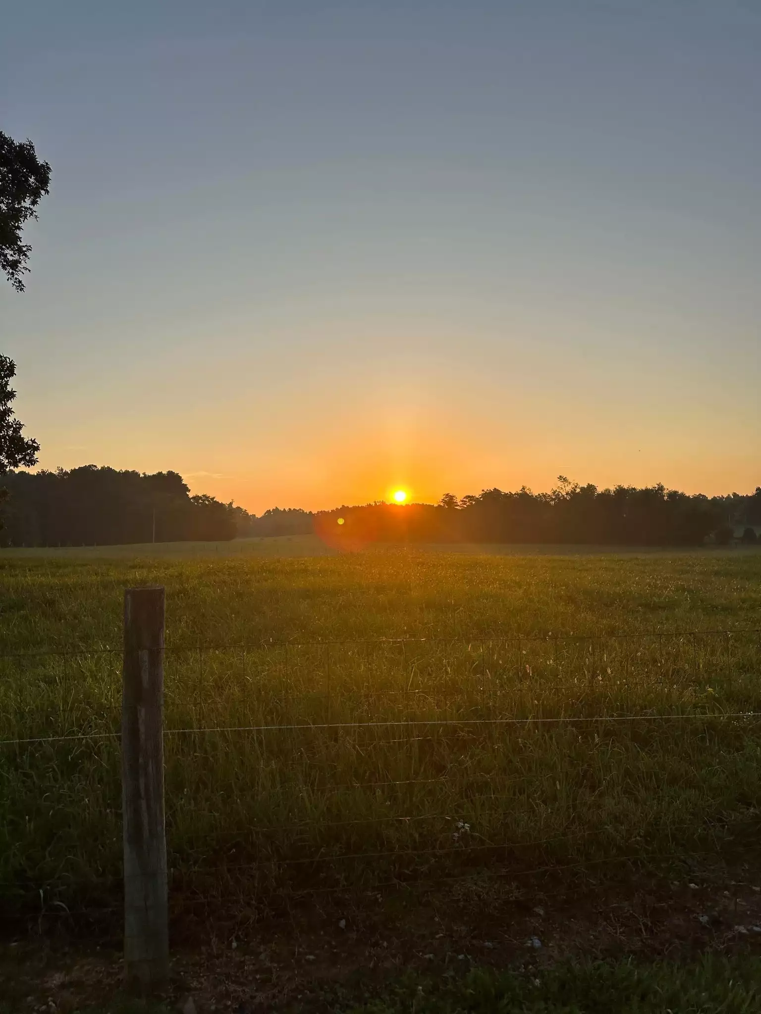 Knob Creek Rd, Wartrace, TN  37183