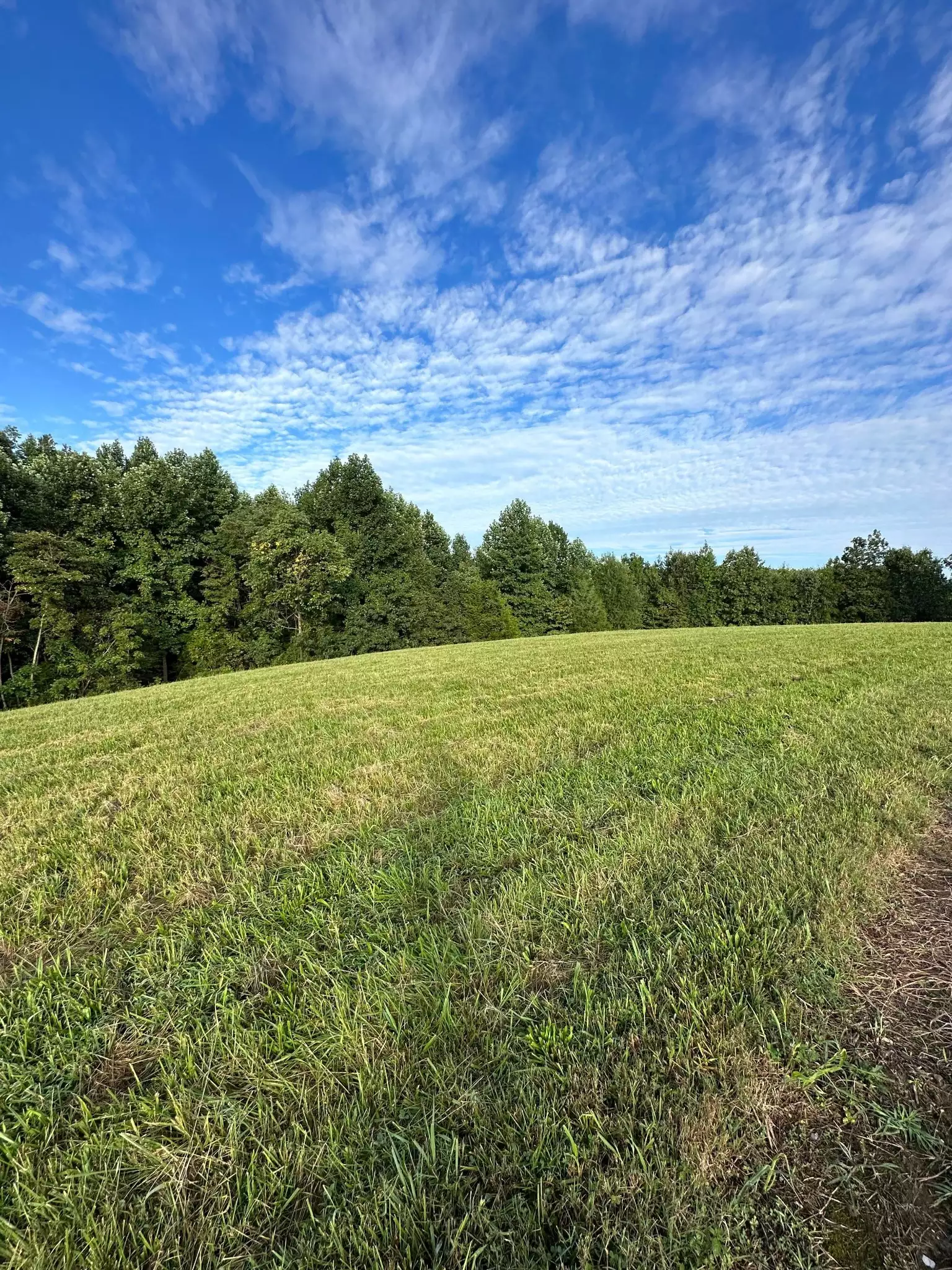 Knob Creek Rd, Wartrace, TN  37183