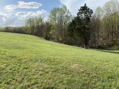 Carthage Rd, Pleasant Shade, TN  37145