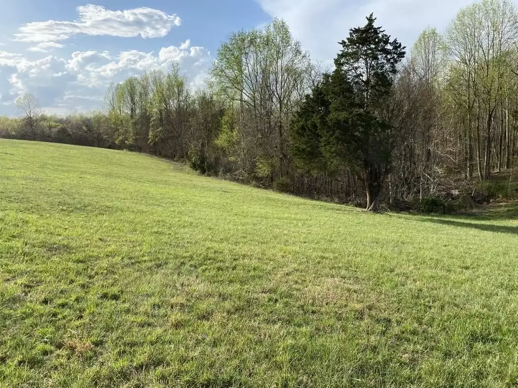 Carthage Rd, Pleasant Shade, TN  37145