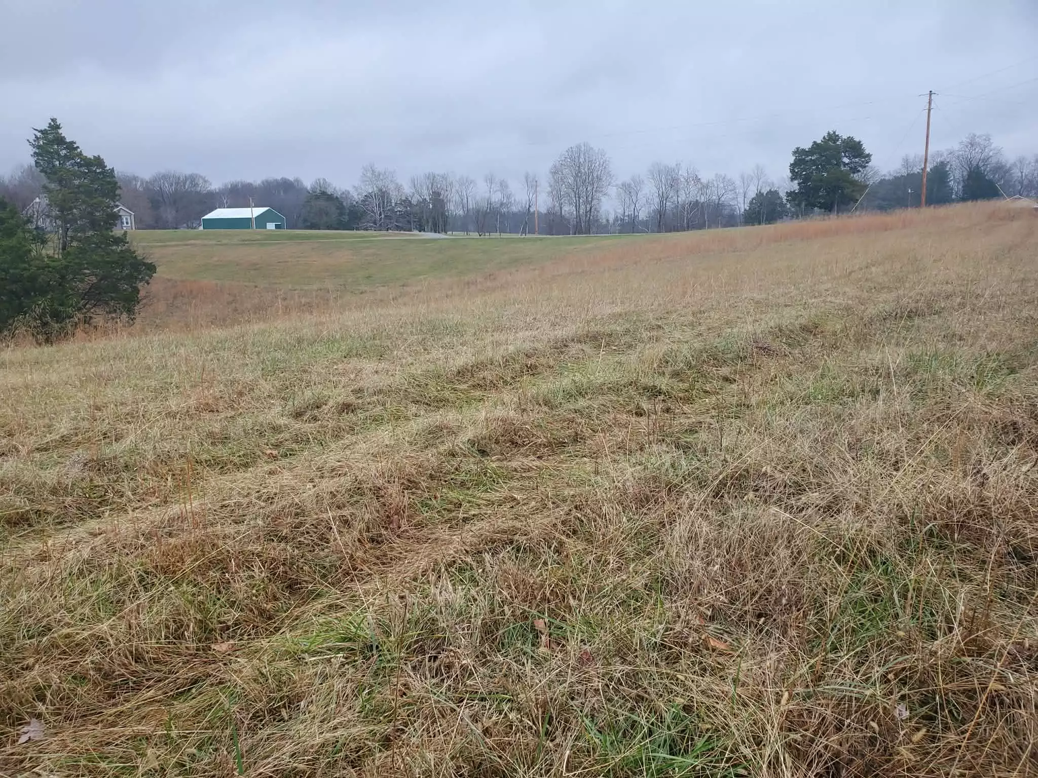 Carthage Rd, Pleasant Shade, TN  37145