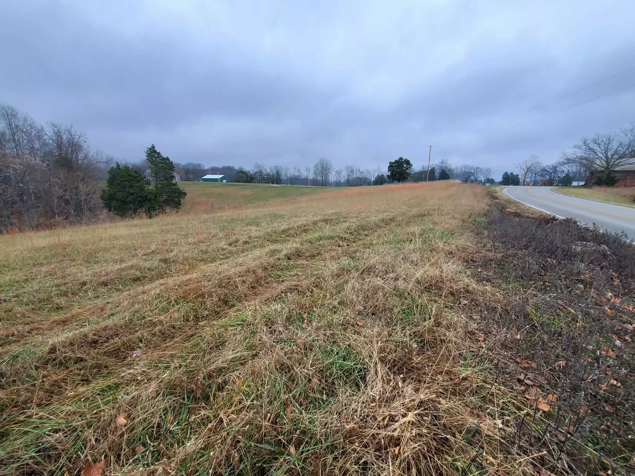 Carthage Rd, Pleasant Shade, TN  37145