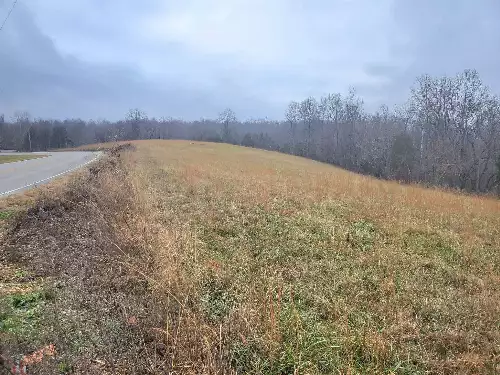 Carthage Rd, Pleasant Shade, TN  37145